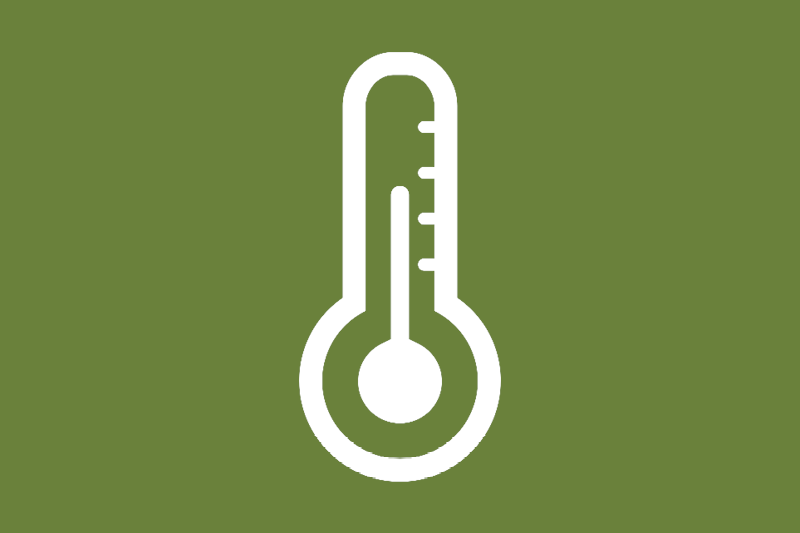 Thermometer Icon